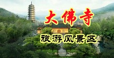 男女尻屄视频大奶子中国浙江-新昌大佛寺旅游风景区
